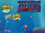 Mchezo Kulisha frenzy online
