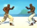 Mchezo Mpiganaji wa Capoeira  online