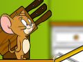 Mchezo Tom na Jerry: Kujenga daraja online