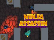 Mchezo Ninja Assassin online
