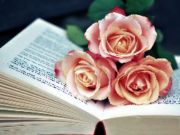 Mchezo Kitabu cha Blooms Jigsaw online