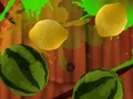 Mchezo Fruit Break online