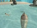 Mchezo Shark Simulator Beach Killer online