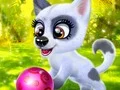 Mchezo Happy Dog online
