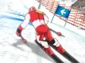 Mchezo Winter Sports: Slalom Hero online