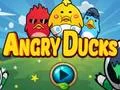 Mchezo Angry Ducks online