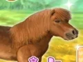 Mchezo My Dear Pony online