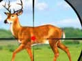 Mchezo Wild Hunt Hunting Games 3D online