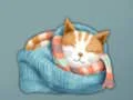 Mchezo Adorable Escape Find Cute Kitten online