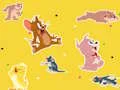 Mchezo The Tom and Jerry Show Find it! online