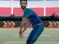 Mchezo Cricket Powerplay online