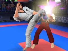 Mchezo Karate Fighter online