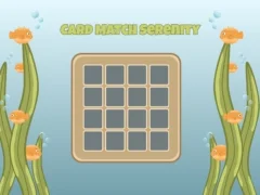 Mchezo Card Match Serenity online