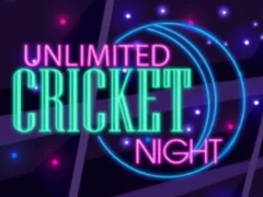 Mchezo Unlimited Cricket Night online