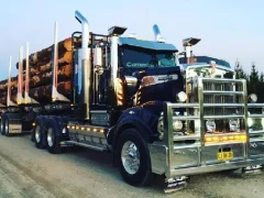 Mchezo American City Truck Transporting online