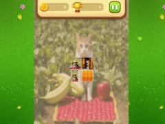 Mchezo Farm Cat Memory Match online
