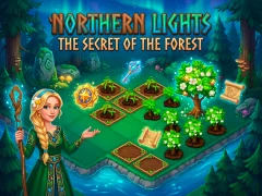 Mchezo Northern Lights - The Secret Of The Forest online