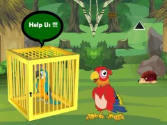 Mchezo Release Trapped Macaw Buddy online