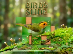 Mchezo Birds Slide online