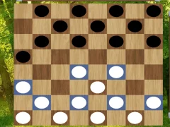 Mchezo Classic Checkers: Forest online