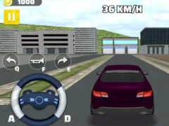 Mchezo The Long Drive online