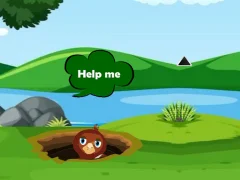 Mchezo Help Injured Bird Fallen Down online