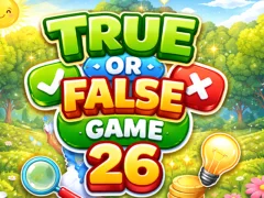 Mchezo True or False Game 26 online