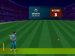 Mchezo Cricket Night 2 online