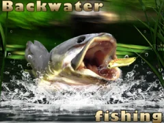 Mchezo Backwater Fishing online