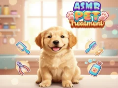 Mchezo Asmr Pet Treatment online