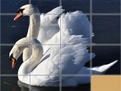 Mchezo Animals Slide Puzzle online