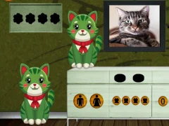 Mchezo Find the Curious Freaky Cat online