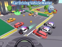 Mchezo Car Driving Vehicle Master online