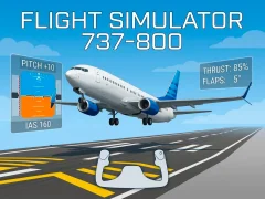 Mchezo Flight Simulator 737-800 online