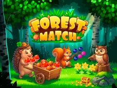 Mchezo Forest Match online