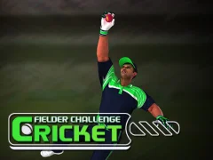 Mchezo Cricket Fielder Challenge online