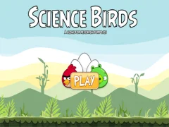 Mchezo Science Birds online