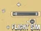 Mchezo Flight Sim online