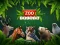 Mchezo ZOO Trivia online