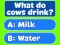 Mchezo Trivia! Best Family Quiz online