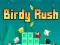 Mchezo Birdy Rush online