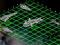 Mchezo Intergalactic Battleships online