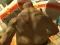 Mchezo Monster Simulator online