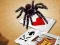 Mchezo Jumping Spider online