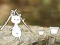 Mchezo Our Little Island online