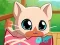 Mchezo My Pocket Pets Kitty Cat online