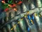 Mchezo Fishing King online
