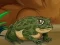 Mchezo Frogs Matching online