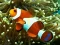 Mchezo Underwater Hidden Numbers online