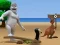 Mchezo Albatross Overload online